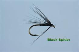 Black Spider